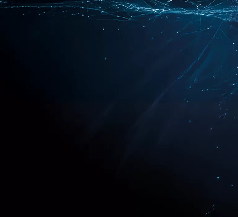 Alternativa B visual capi appesi